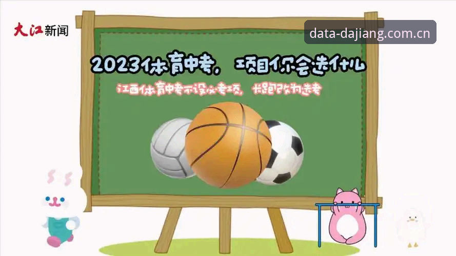 大江体育数据洞察评测：新手完整使用指南